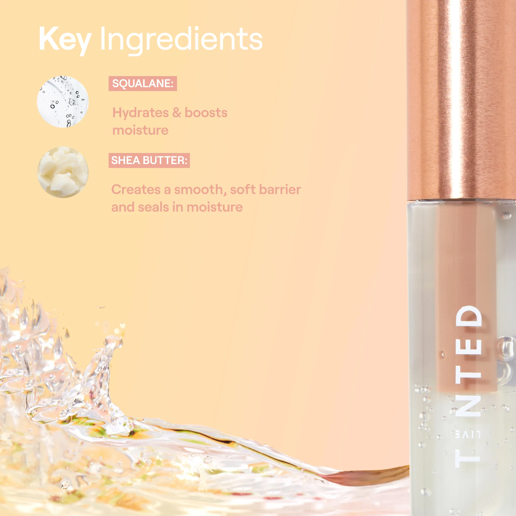 Coconut Escape Duo - Image 7